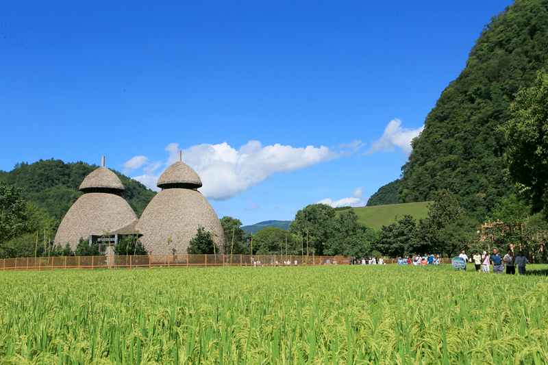 張家界黃龍洞：農(nóng)旅融合生態(tài)美，田園風(fēng)光引客來