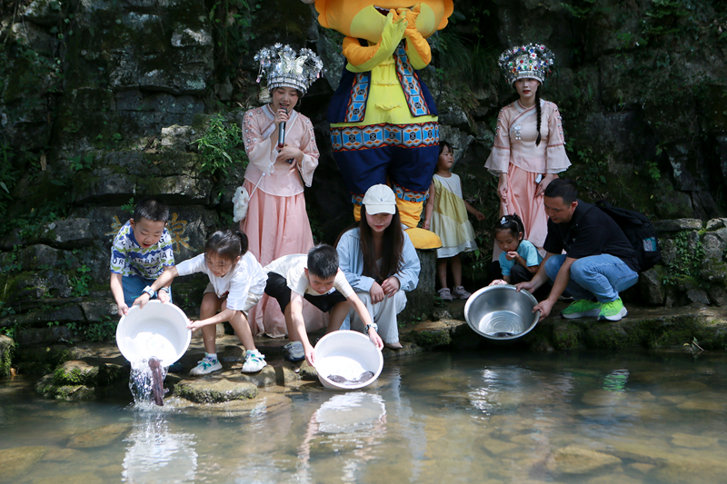 人工增殖放流百余尾幼苗，張家界黃龍洞“大鯢家園”再添新丁